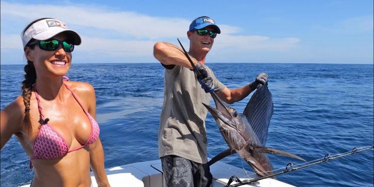 Reeling in a SAILFISH