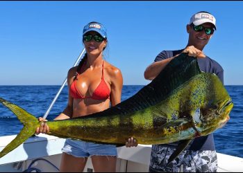 Catching a GIANT Bull Dolphin !