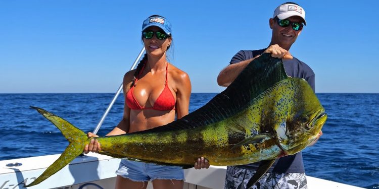 Catching a GIANT Bull Dolphin !