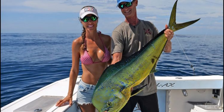 GAFFING a Bull Dolphin