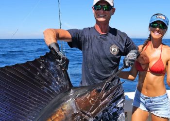Offshore Fishing for SAILFISH