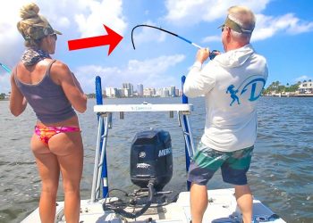 Tossed LIVE Shrimp in Public Waterway and Caught THIS! (Catch & Cook)