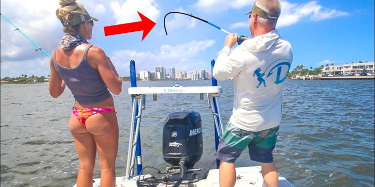 Tossed LIVE Shrimp in Public Waterway and Caught THIS! (Catch & Cook)