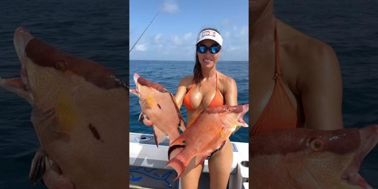 Hogfish is what’s for dinner!  👀🎣