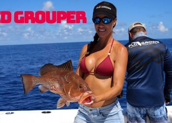 Red GROUPER in the Gulf
