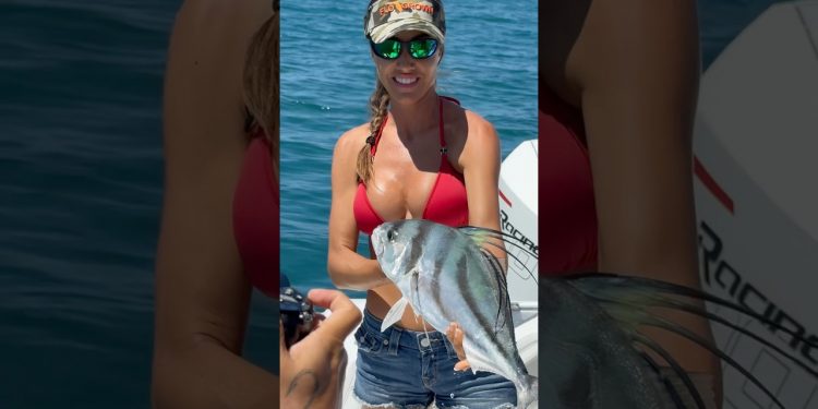 Roosterfish 🎣 in paradise