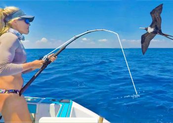 Secret TINY Baits Under a MASSIVE Bird! Florida Keys Style Fishing
