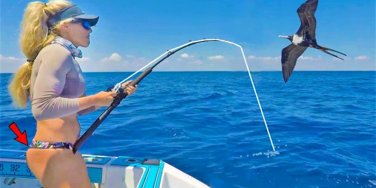 Secret TINY Baits Under a MASSIVE Bird! Florida Keys Style Fishing