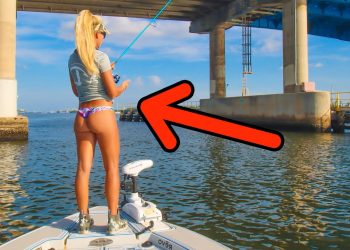 2 Hours of fishing MASSIVE Florida Bridges!