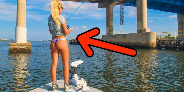 2 Hours of fishing MASSIVE Florida Bridges!