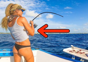 Dropped a TINY Bait on the Reef & Caught the LIMIT! Florida Snapper Fishing