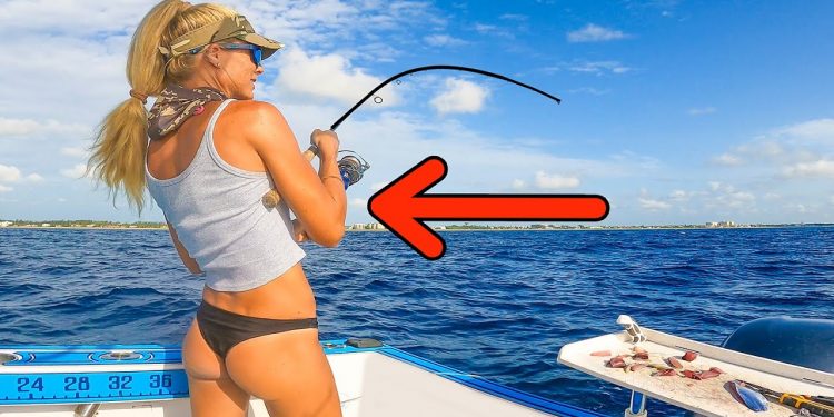 Dropped a TINY Bait on the Reef & Caught the LIMIT! Florida Snapper Fishing