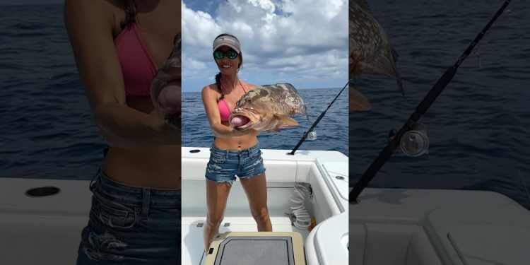 Red Grouper in Key West 🎣