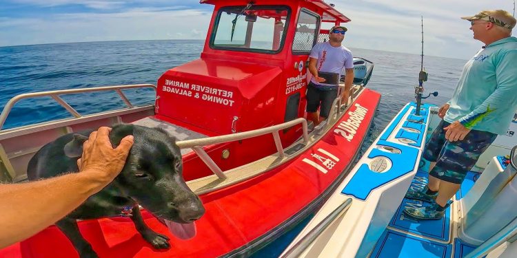 STRANDED 10 Miles Out! Boat Breaks Down Under Mysterious Circumstances