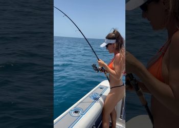 Hooked up to a grouper! 🎣 #fishingwithluiza