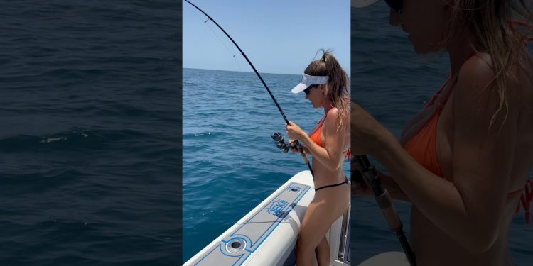 Hooked up to a grouper! 🎣 #fishingwithluiza