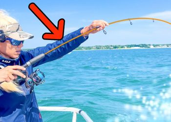 I Went Fluke Fishing in New York on the BEST Party Boat!