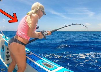 Unexpected MASSIVE Trophy Fish Caught on a TINY Hook! (Catch & Cook)