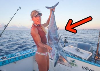 We Hooked a TROPHY Fish in South Florida! (ft. how to troll with planers)