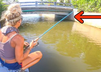 Found the Most Random Fishing Spot and Caught This!!