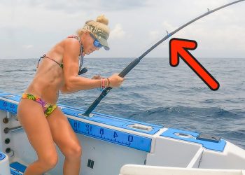 I Caught the Most UNEXPECTED Fish While Deep Sea Trolling! (FIRST TIME EVER)