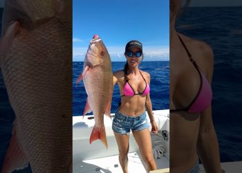 Big Mutton Snapper 👀 in Key West!