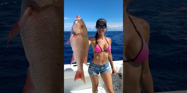Big Mutton Snapper 👀 in Key West!