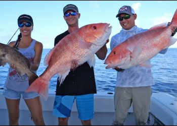 FISHING Florida Middle Grounds Pt 1🎣 – Livin’ the Dream TV