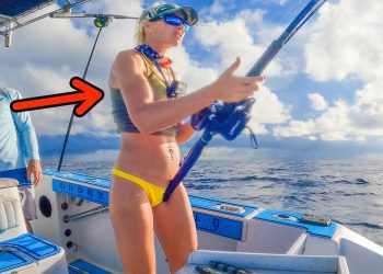 Fishing Floating Debris Miles Offshore for Dinner! (Jackery Solar Generator 1000 v2)