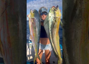 Girl Catches MONSTER Mahi!