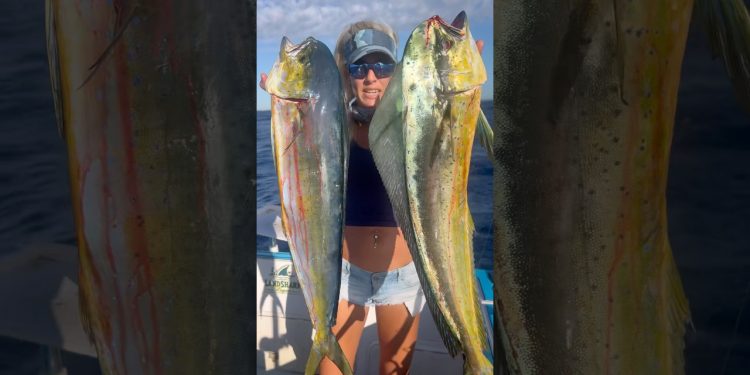 Girl Catches MONSTER Mahi!
