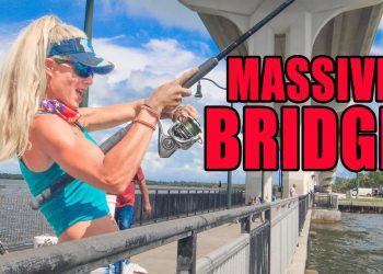 I Tossed a LIVE Bait under a MASSIVE Bridge & Caught This!