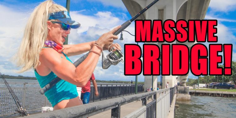 I Tossed a LIVE Bait under a MASSIVE Bridge & Caught This!