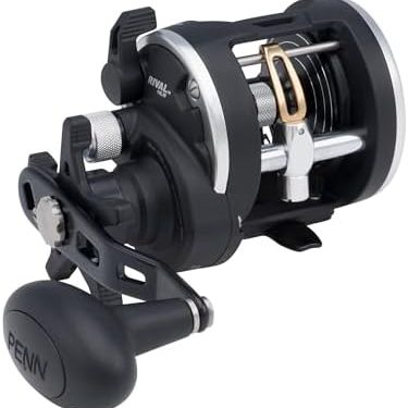 PENN Rival Level Wind Conventional Fishing Reel