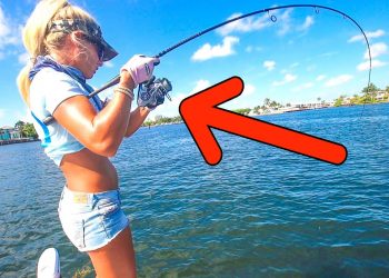 Eating WHATEVER we catch! Florida Catch & Cook Video (Bluetti Apex 300)