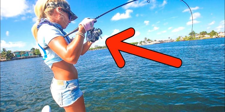 Eating WHATEVER we catch! Florida Catch & Cook Video (Bluetti Apex 300)