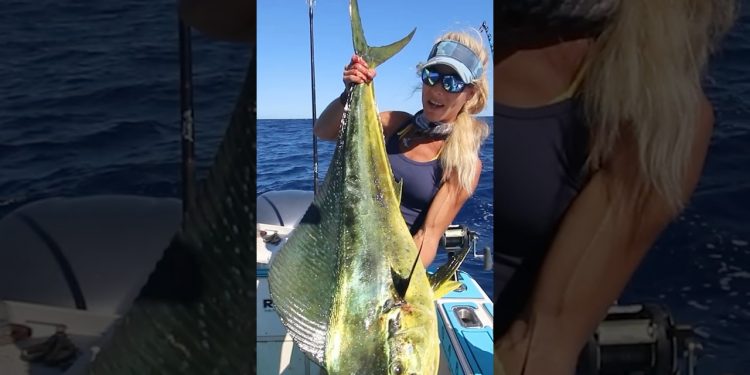 Girl catches MASSIVE Mahi on the Kraken!