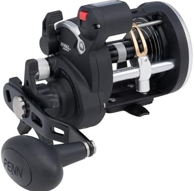 PENN Rival Level Wind Conventional Fishing Reel