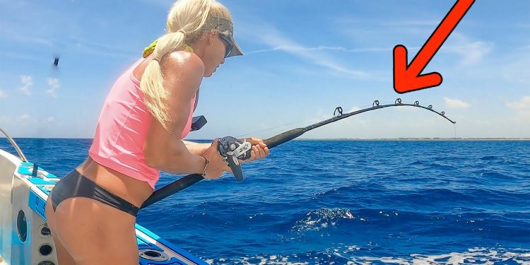 20+ FISH! Trolling Florida Waters- Non-Stop Action Fishing (Catch & Cook)