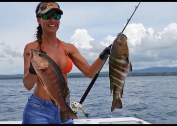 Fishing Costa Rica – The Crocodile Bay Experience🌴