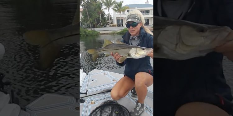 How to Catch GIANT Fish with One Simple Bait