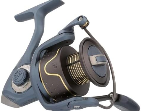 Pflueger President Spinning Fishing Reel