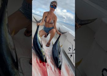 Yellowfin Tuna 🍣 #fishingwithluiza