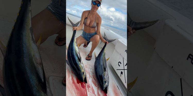Yellowfin Tuna 🍣 #fishingwithluiza