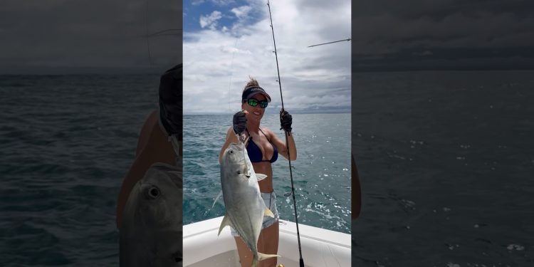 Jack Crevalle catch and release 💪🏼