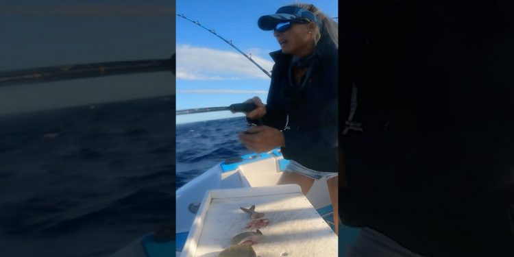 Mahi ATTACK 20 Miles Offshore! @Piscifun