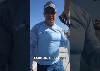 These Fish Are So Hungry They’d Eat a Bare Hook!