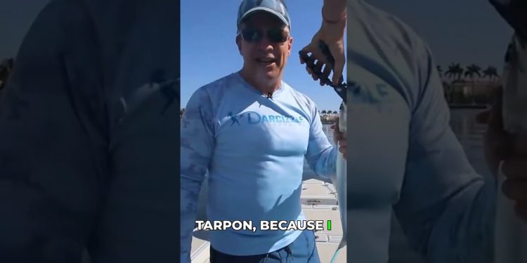 These Fish Are So Hungry They’d Eat a Bare Hook!
