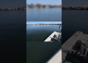Bluefish Feeding Frenzy ONE FOOT From Our Boat!