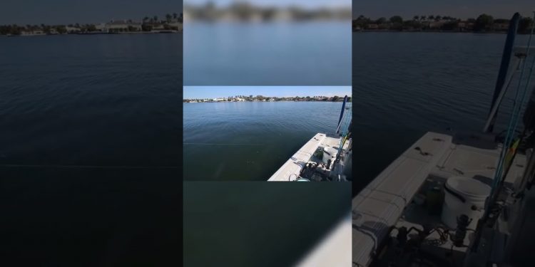 Bluefish Feeding Frenzy ONE FOOT From Our Boat!